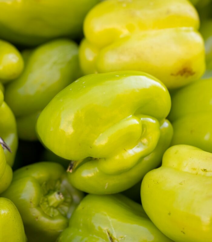 a pile of green peppers sitting next to each other