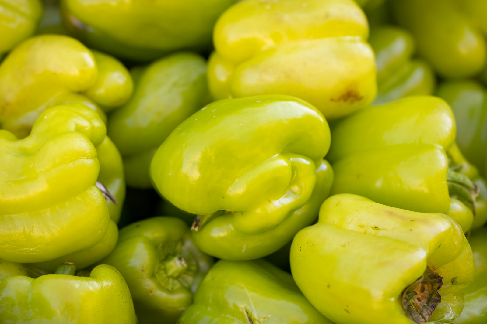 a pile of green peppers sitting next to each other